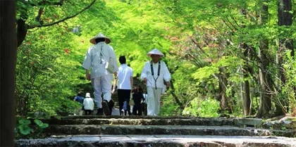 四国遍路，从僧侣到庶民的巡礼之道