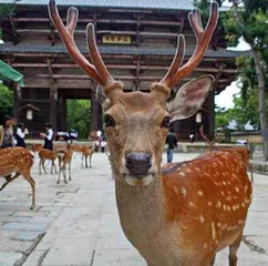 在中秋节，见一见世界各地的月亮3