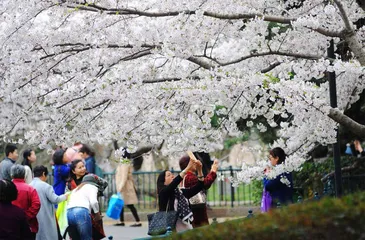 送你一朵小红花， 跟我一起环游世界1