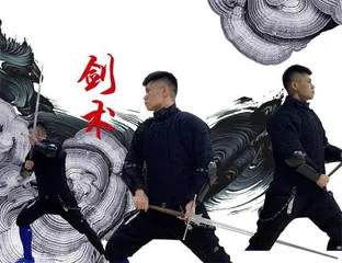 武之心·侠之路4