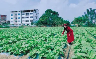 古村千年“和安”梦