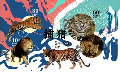 世界上最凶残的猫科动物在哪里？1