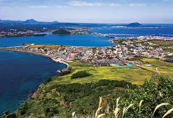 济州岛：东亚路口千年“香饽饽”