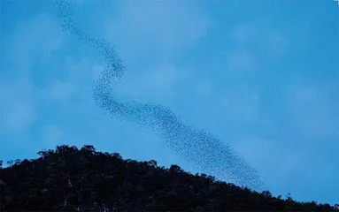 姆鲁山，遁世假期1