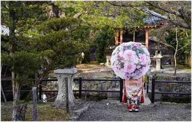 京都祗园与“艺伎狗仔队”的文化冲突1