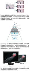 不仅是4K！更是真实的色彩4