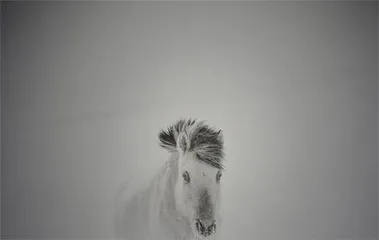 王争平：草原三部曲把远方的远归还草原5