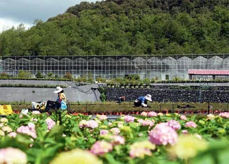 锚定特色优势产业　增强县域经济动能