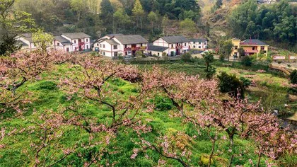 青山越来越美　日子越过越好