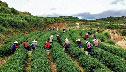 “贫困高山村”蝶变“富美新农村”