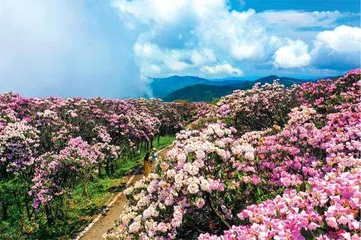 湖南双牌县：文旅融合兴乡村