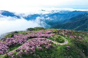 湖南双牌县：文旅融合兴乡村