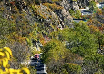 美丽乡村路成为山区致富路