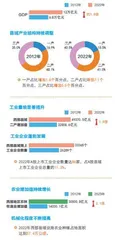 西部地区在发展中保障和改善民生