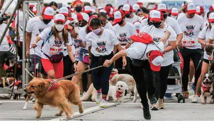 动物赛跑的“终点迷雾”