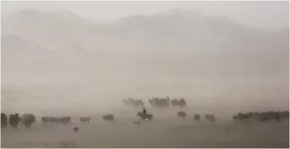 蒙古国的“黄色黑夜”