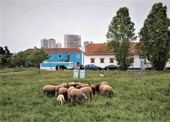 减碳不走寻常路2