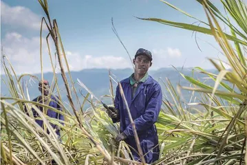 丰收节：以收获的名义4