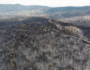 “世界山火”：末日恐惧再次来袭3