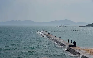 岛城浪漫7