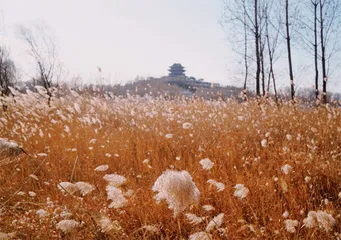 延庆小住　一半冬天，一半夏天0