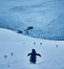 去冻海深处听冰与海之歌