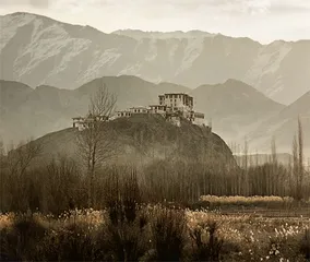 雪豹，行走在巅峰3