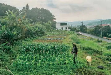 “隐居”生活，锄头与手机并用1