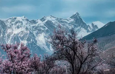 拉林铁路驶过喜马拉雅1