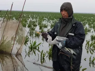 青山有我，绿水不负 江西九江青山绿水护飞队2