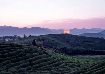 艺术在浮梁：向城市向乡村0