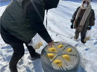 吉林松原志愿者为越冬林鸟投食2