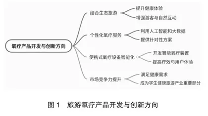 旅游氧疗产品开发与市场推广策略0