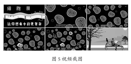 基于生物学大概念的学习进阶单元教学设计4