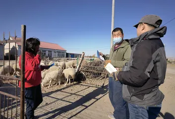 保护候鸟 我们在行动4