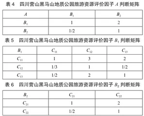 四川营山黑马山地质公园旅游资源类型与评价探究4