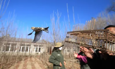 立足本地，探索及时高效的护飞模式3