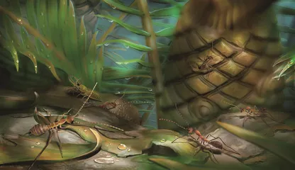 中生代往事:昆虫帝国的“二次革命”(中)2