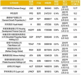 揭秘中东最大主权财富基金3