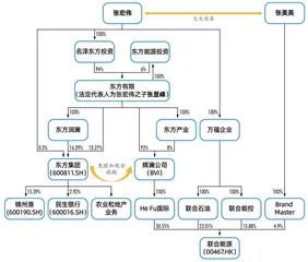 遭遇反对的52亿元现金收购，实控人为何左右倒手？1