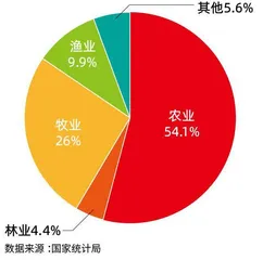 新疆海鲜火了，“渔业+”赛道机遇浮出水面