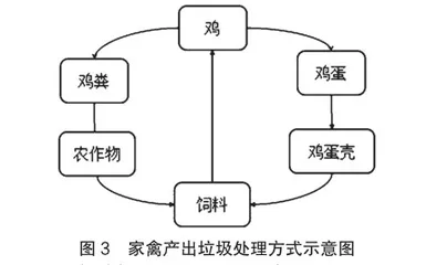 乡村振兴背景下的乡村康养旅游发展研究4