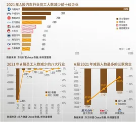 毕业季来临，哪些领域成吸纳就业新方向