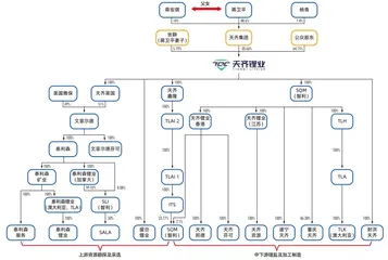 悬崖边的救赎：大举并购后的天齐锂业未来会好吗？1