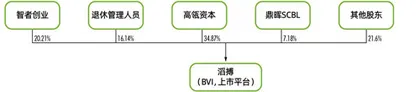 逆势再上市：高瓴赋能5年，百丽“能”了吗？4