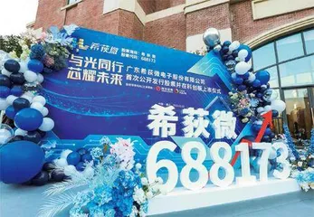 打造发展新格局：“两高四新”产业何以在南海崛起？2