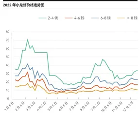 热虾冷思考3