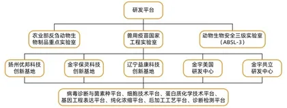 张翀宇：押注动物疫苗赛道的下个十年4