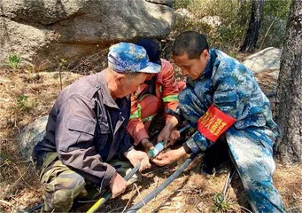 游客至上　向党建要服务力