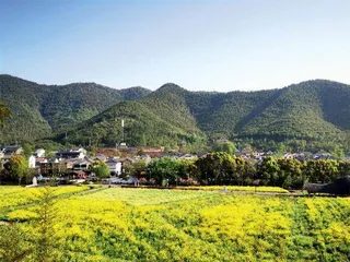 余村：用绿水青山搭起共富大舞台